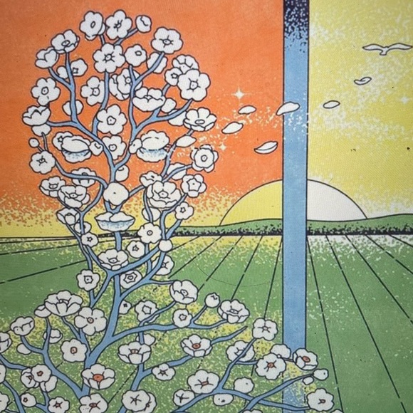 A tiny Slice of my Island Homes ❤️ - Picture 4 of 15